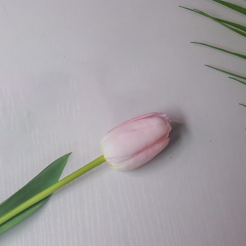 Realistische Tulpenblumenstängel