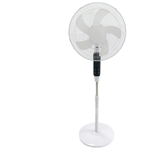 Damen Standventilator Brehn