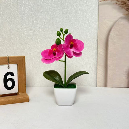 Lebensechte florale Orchideen-Darstellung für die Inneneinrichtung