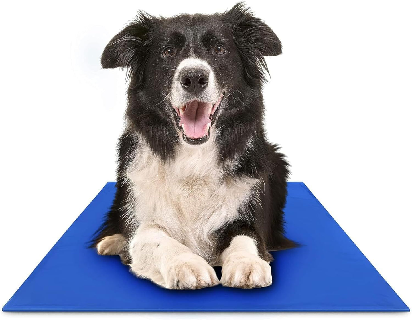 Kühlende Hundematte Brehn