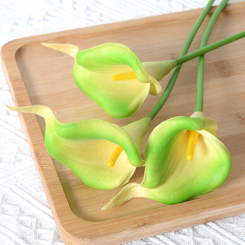 Dekorative Realistische Calla-Lilienstiele