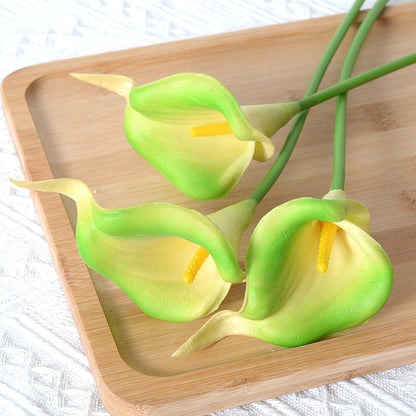 Dekorative Realistische Calla-Lilienstiele