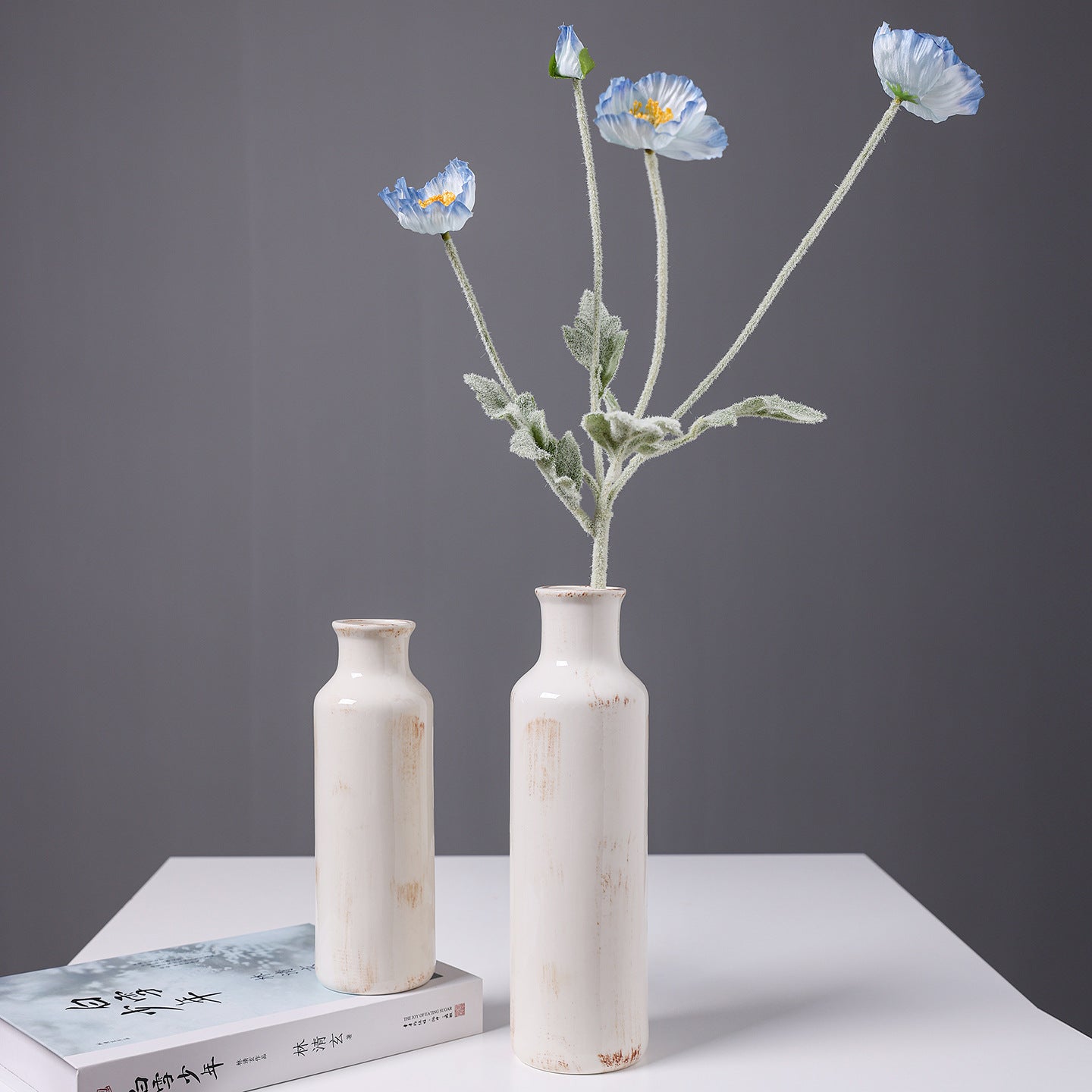 Moderner Minimalistischer Keramikvase