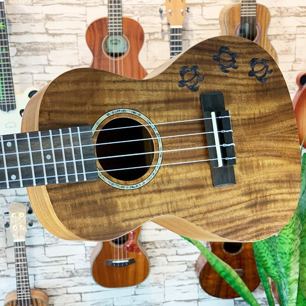 Premium 23-Zoll exotische Koa Ukulele Brehn
