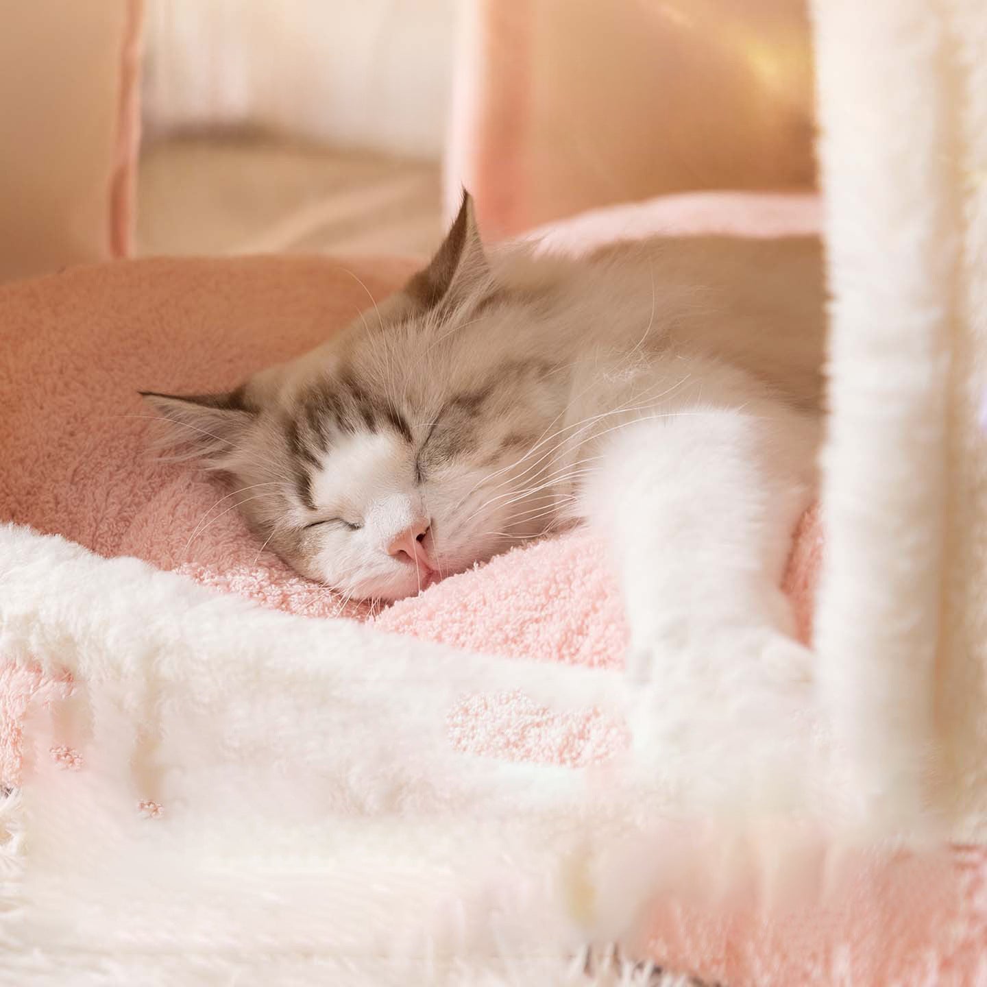 Gemütliches Geschlossenes Hundebett