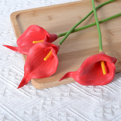 Dekorative Realistische Calla-Lilienstiele
