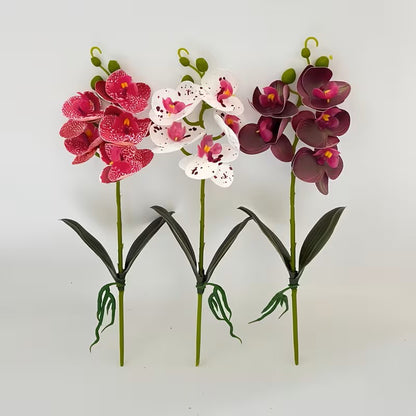 Luxuriöse dekorative Orchideenblumenarrangement