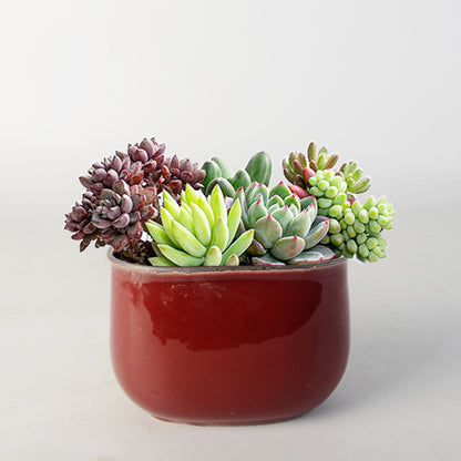 Blumentopf Brehn