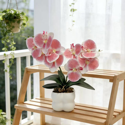 Künstliches Orchideenarrangement für die Wohnkultur und die Innenausstellung