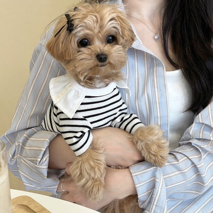Kleiner Hund Gestreifter Baumwoll-Mischgewebe Strickpullover mit Peter Pan Kragen