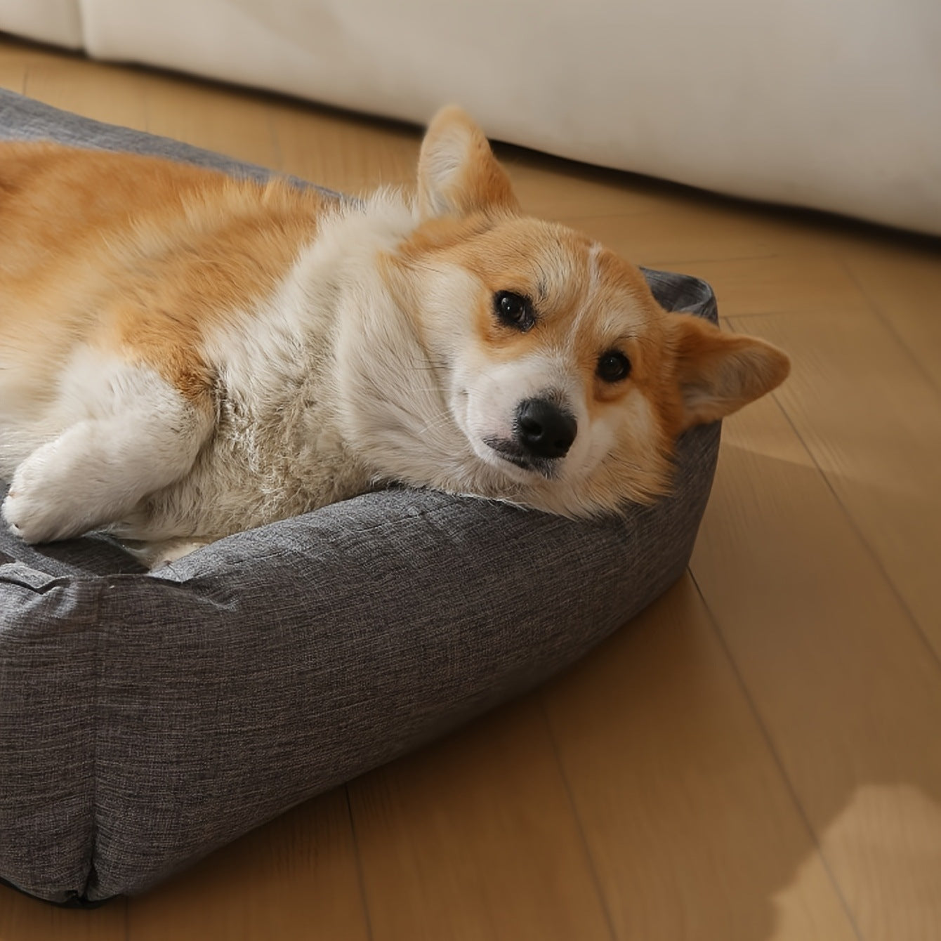 Gemütliches Orthopädisches Haustier Sofa Hundebett