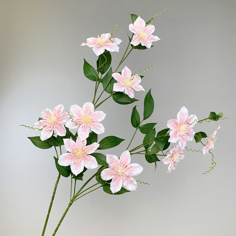 Dekorative Clematis Blumenarrangement