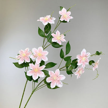 Dekorative Clematis Blumenarrangement
