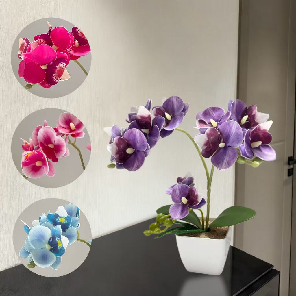 Lebensechte Orchideenpflanzenanordnung für die Heimpräsentation