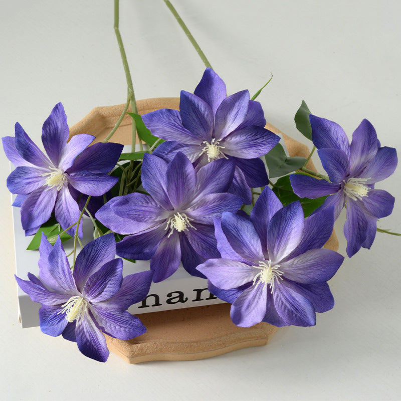 Dekorativer floraler Clematis-Stängel
