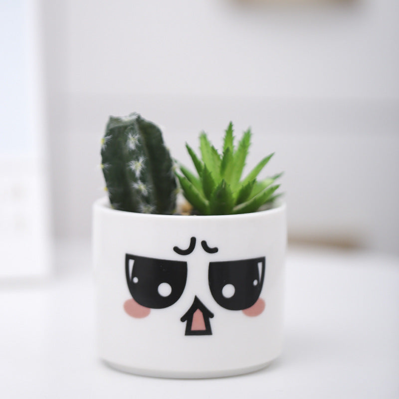 Niedlicher Tier-Themen-Sukkulenten-Planter Brehn