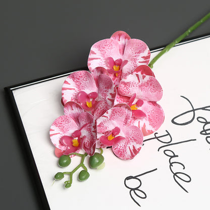 Lebensechter Orchideenblütenstiel