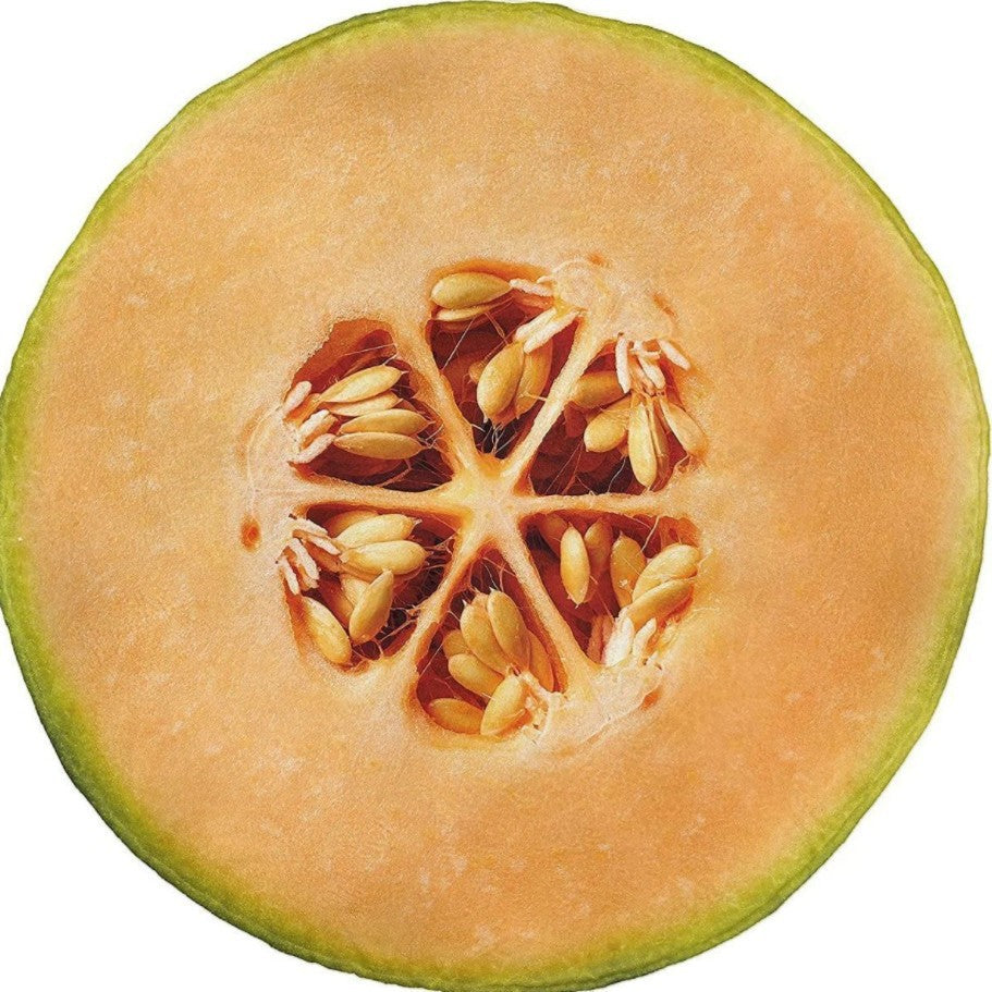 Küchenzubehör Brehn