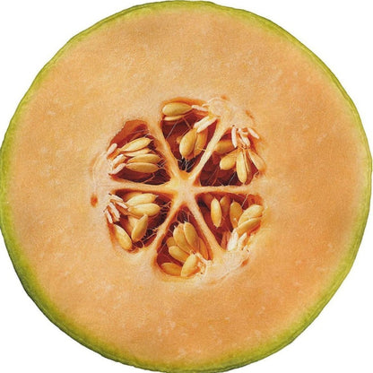 Küchenzubehör Brehn