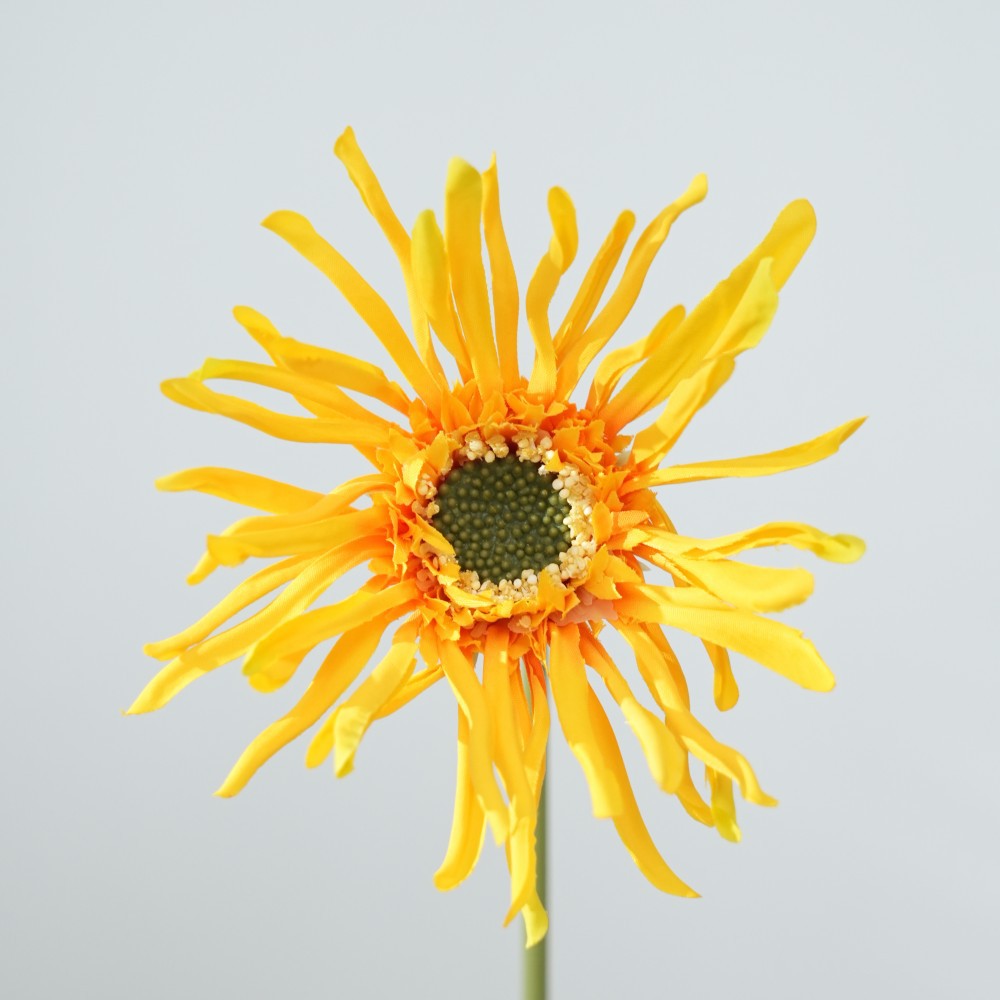 Realistische Sonnenblumenstängel