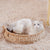 Kuscheliges Katzenbett Brehn