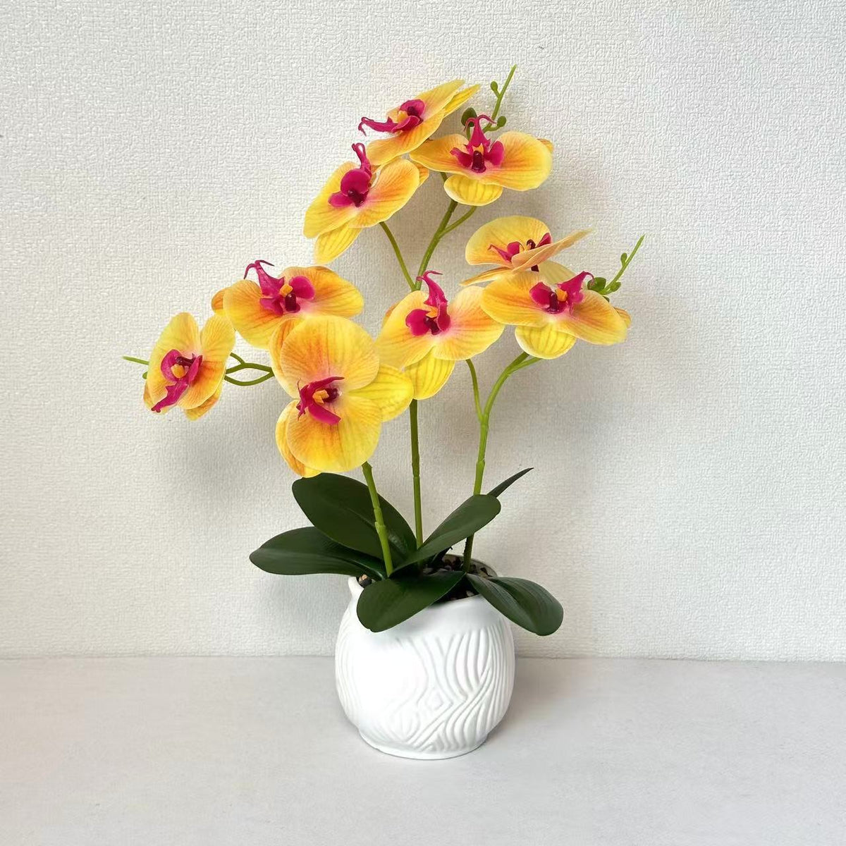 Elegante Orchideen Blumen Display