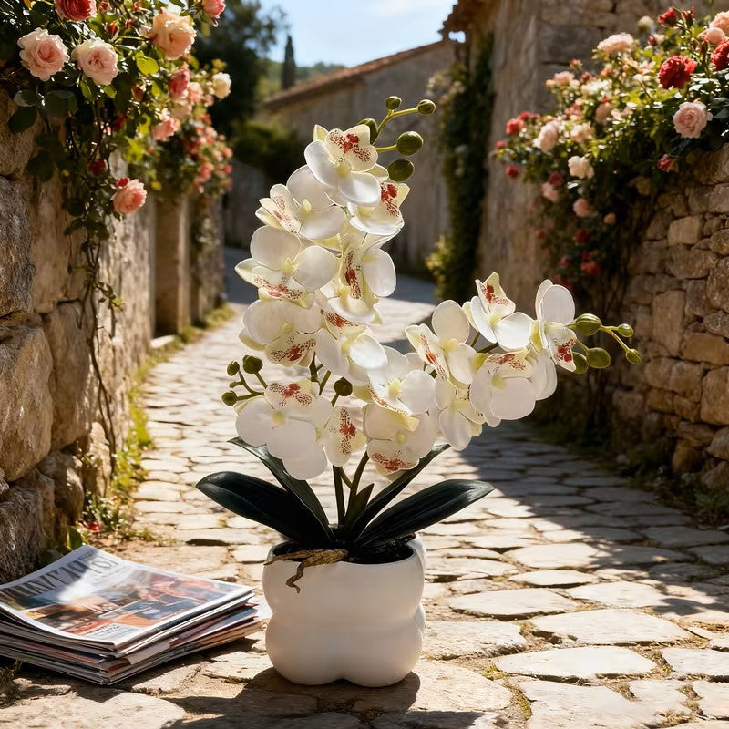 Lebensechte Orchideen Tischmittelstück