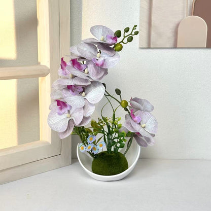 Dekorative Orchideenpflanzenanordnung für die Wohnkultur