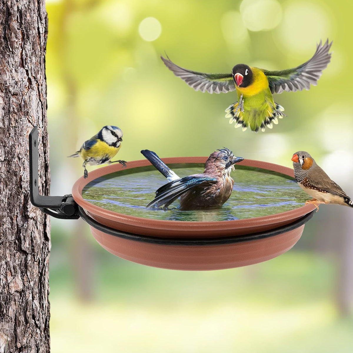 Vogelbad und Futterstelle Brehn