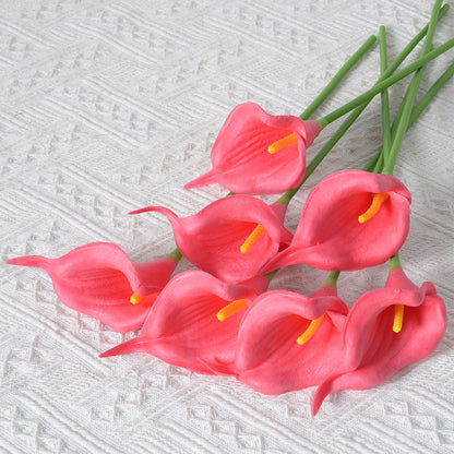 Dekorative Realistische Calla-Lilienstiele