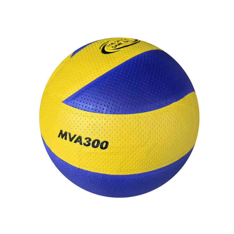 Damen Hochleistungs Volleyball Brehn
