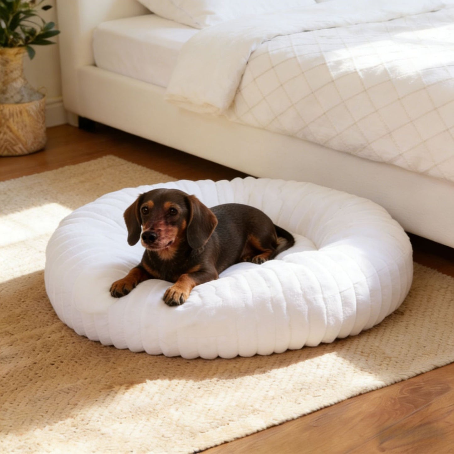 Plüsch runde Katzenbett