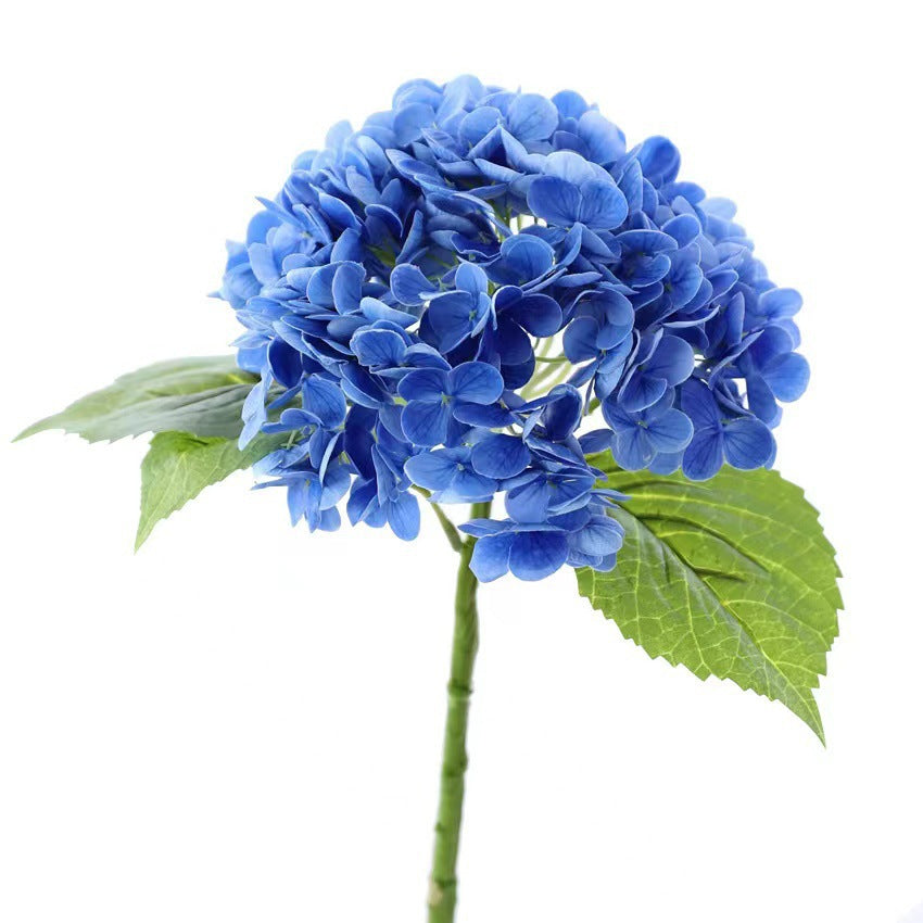 Hydrangea Blumenstrauß