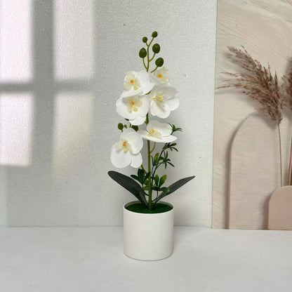 Elegante Orchideen Floral Centerpiece
