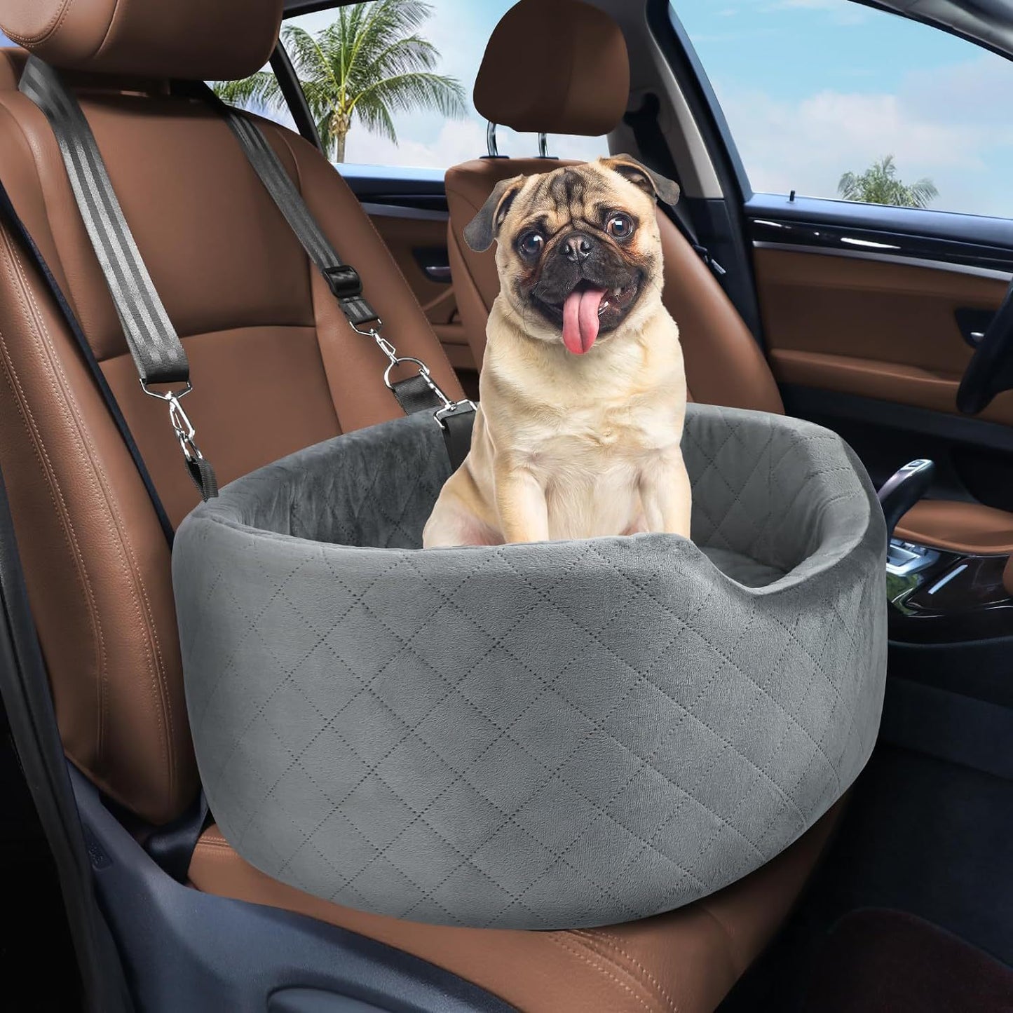 Hunde-Reisesitz Brehn