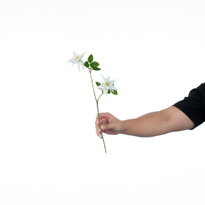 Lebensechte Mehrblütenblumenstiel