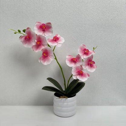 Lebensechte Orchideen Dekor