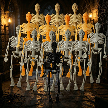 Miniatur anatomisches Skelett Brehn