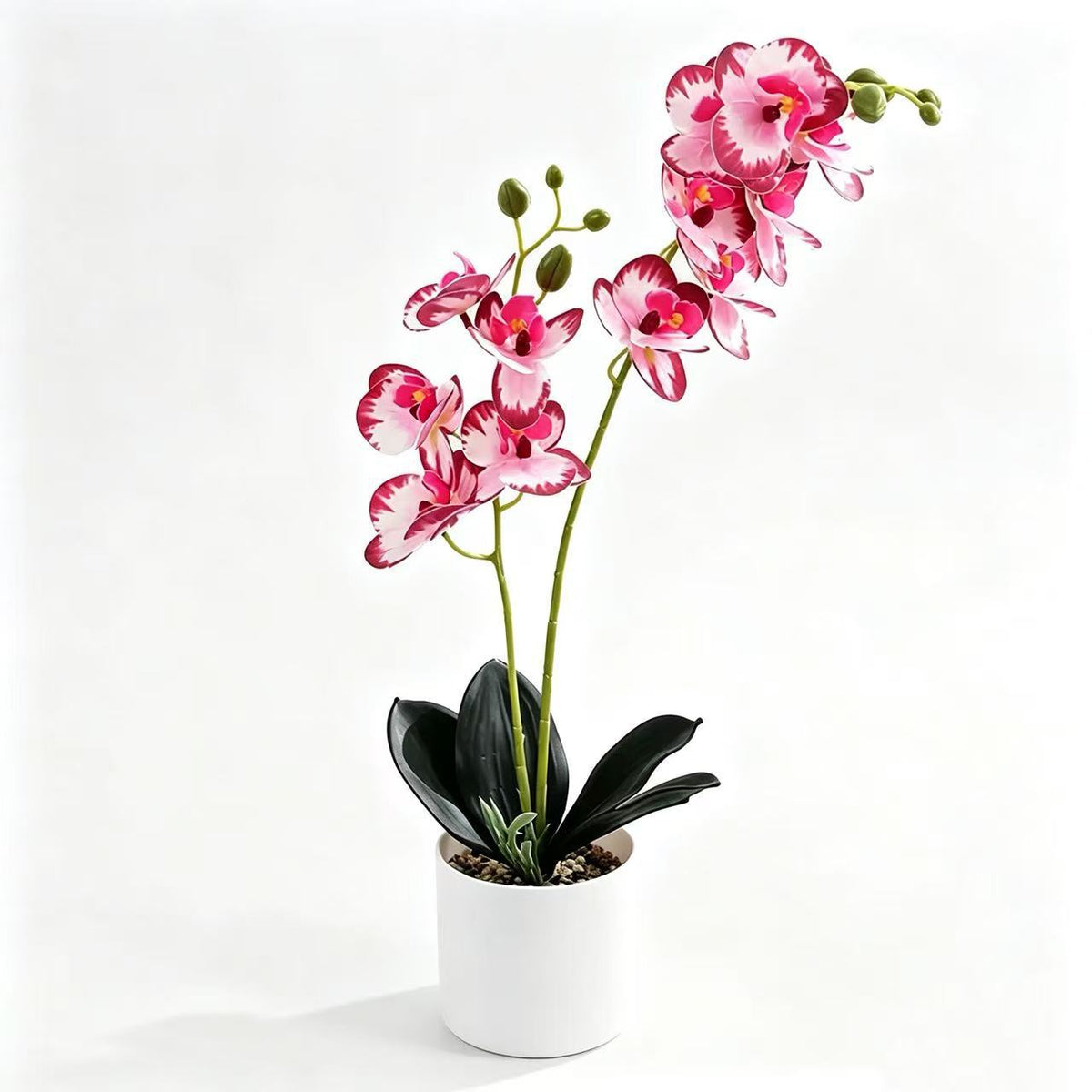 Lebensechte Orchidee Home-Dekor