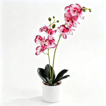 Lebensechte Orchidee Home-Dekor
