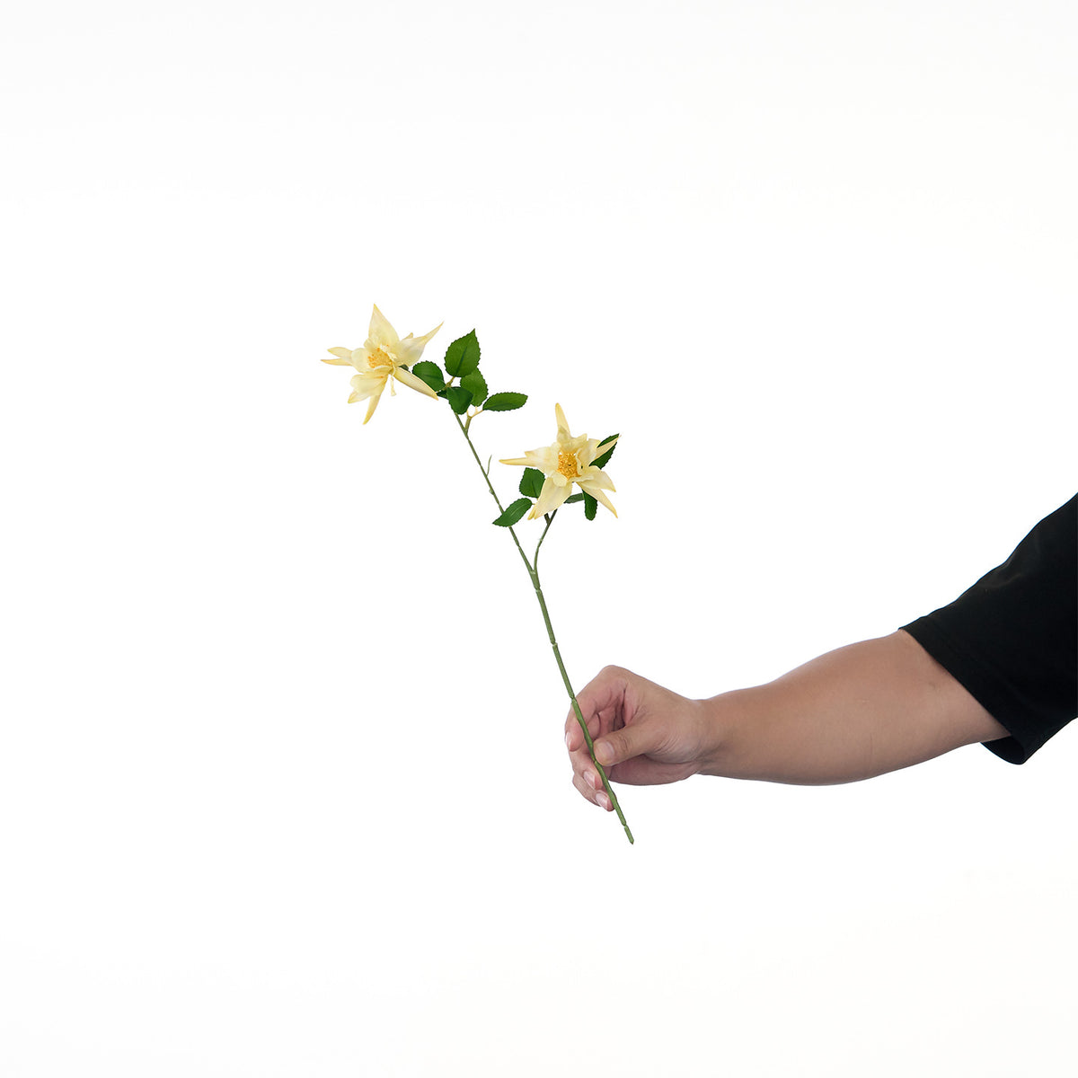Lebensechte Mehrblütenblumenstiel