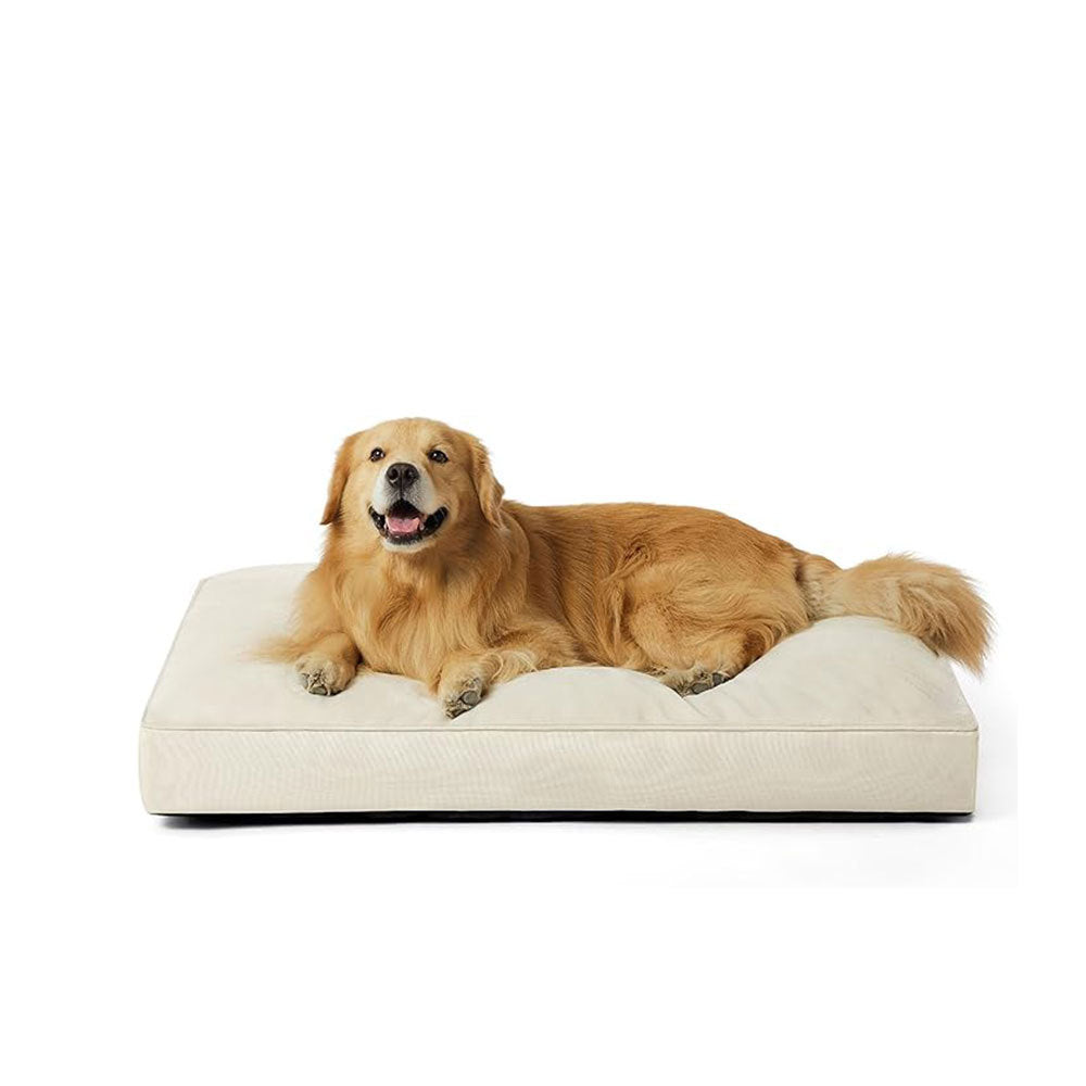 Orthopädisches unterstützendes Hundebett