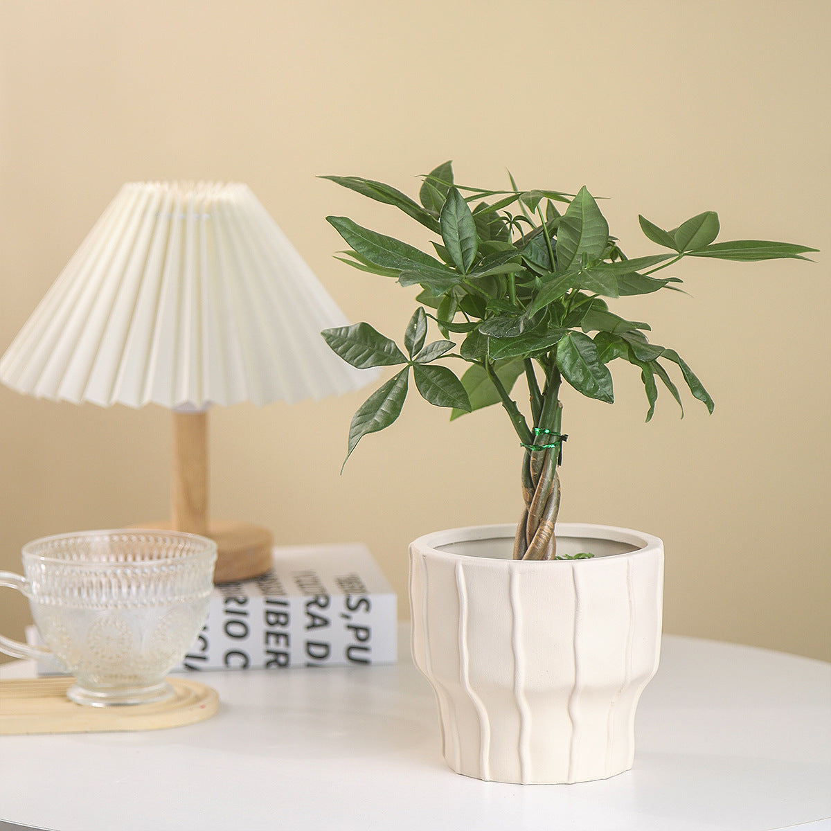 Eleganter Pflanzenkübel für schöne Indoor-Pflanzenarrangements