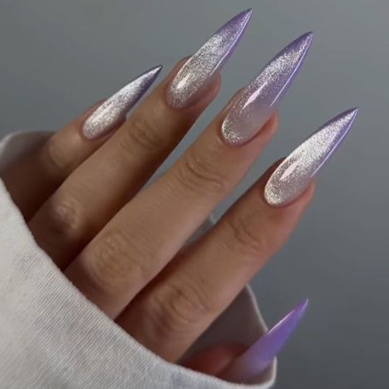 Glitter Ombre Stiletto Nagelverlängerungen Brehn