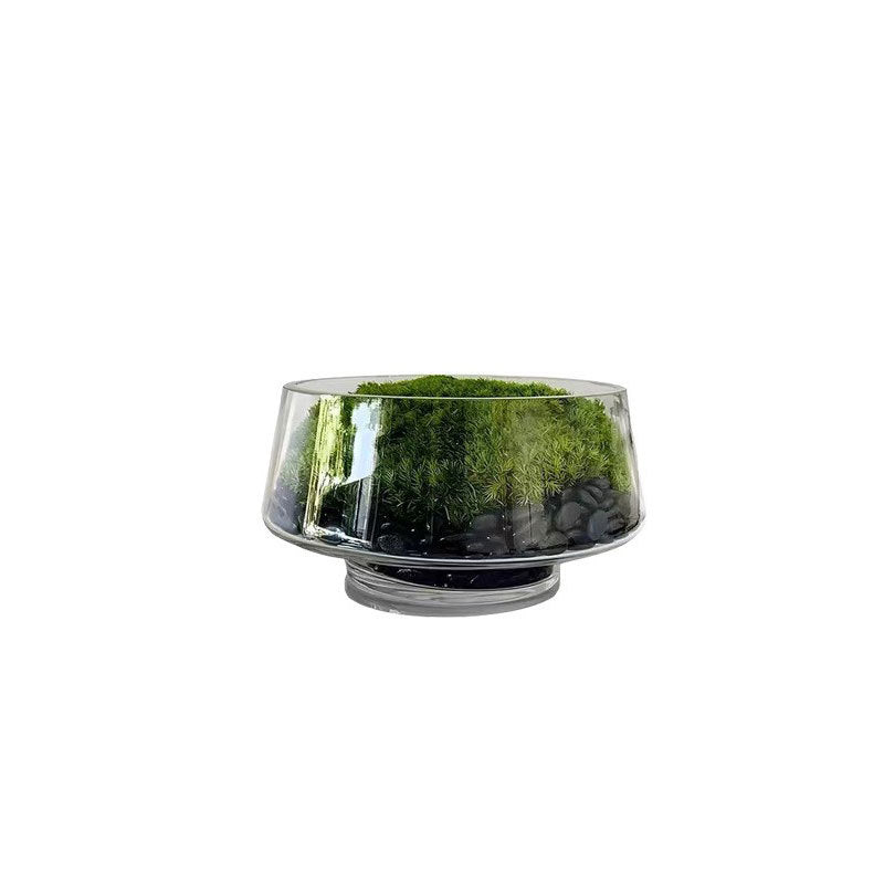 Dekoratives Terrarium