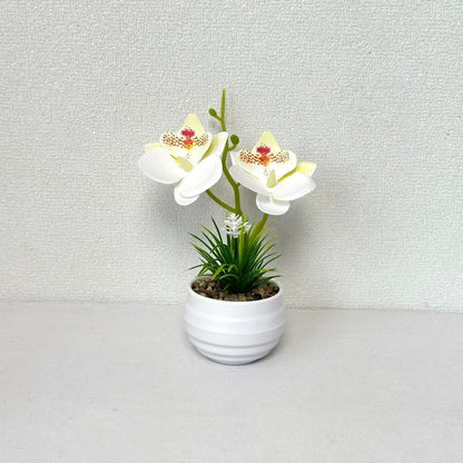 Dekorative Miniaturorchideen-Tischdekoration