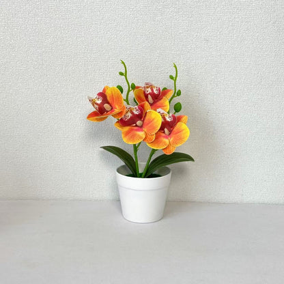 Elegante dekorative Orchideen-Blumenarrangement für die Wohnungseinrichtung