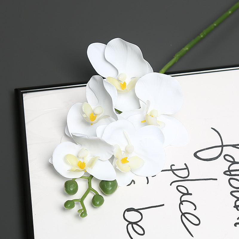 Lebensechter Orchideenblütenstiel