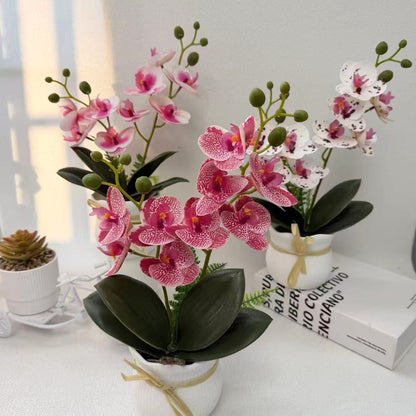 Realistische Dekorative Orchideenpflanze
