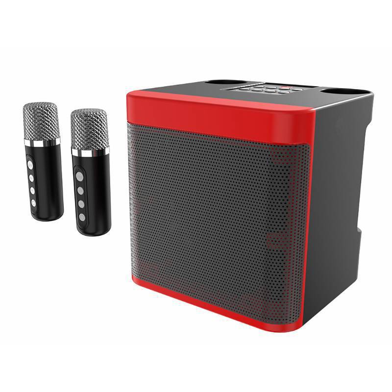 Kabelloses Karaoke-Lautsprechersystem mit zwei Mikrofonen Brehn